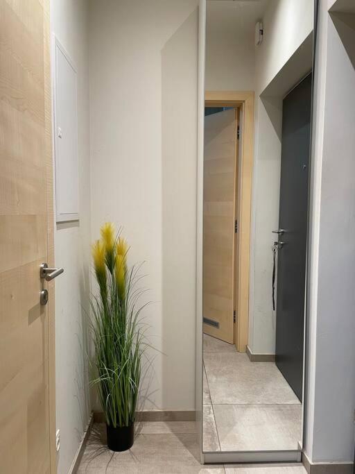 גראץ Gartenwohnung Mit Terrasse Und Parkplatz מראה חיצוני תמונה
